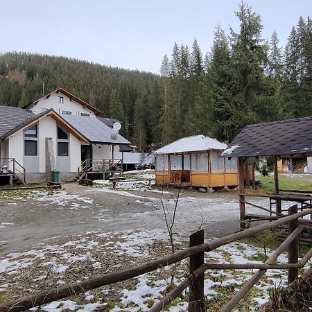 Complex Transalpina Lac فوينياسا المظهر الخارجي الصورة