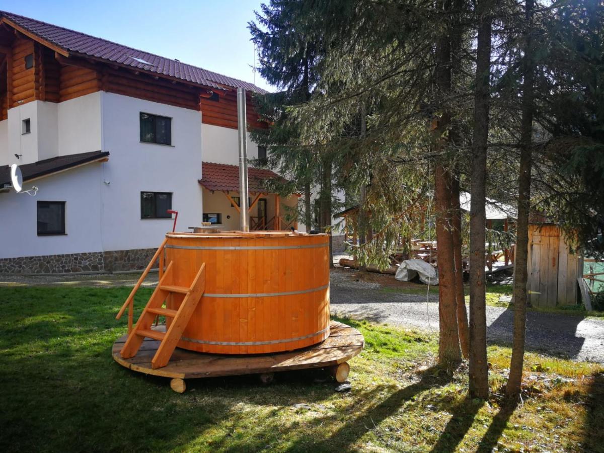 Complex Transalpina Lac فوينياسا المظهر الخارجي الصورة