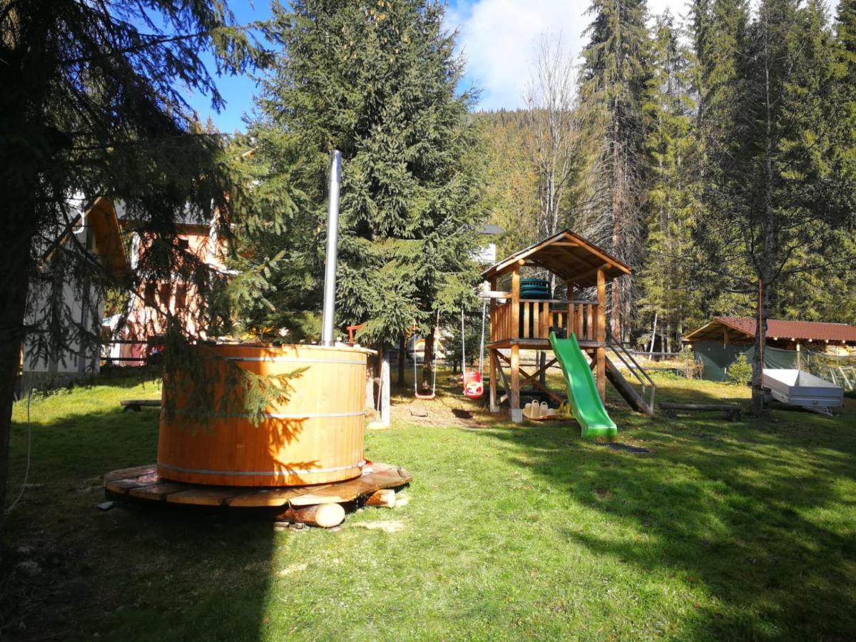 Complex Transalpina Lac فوينياسا المظهر الخارجي الصورة