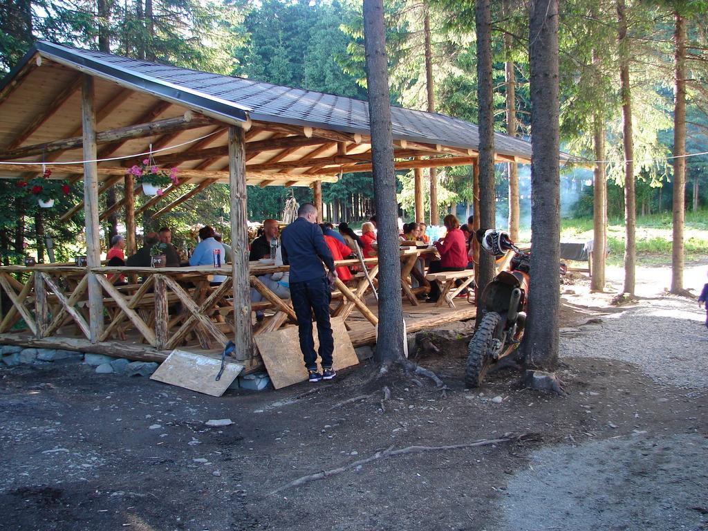 Complex Transalpina Lac فوينياسا المظهر الخارجي الصورة