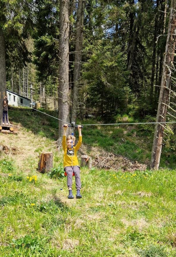 Complex Transalpina Lac فوينياسا المظهر الخارجي الصورة