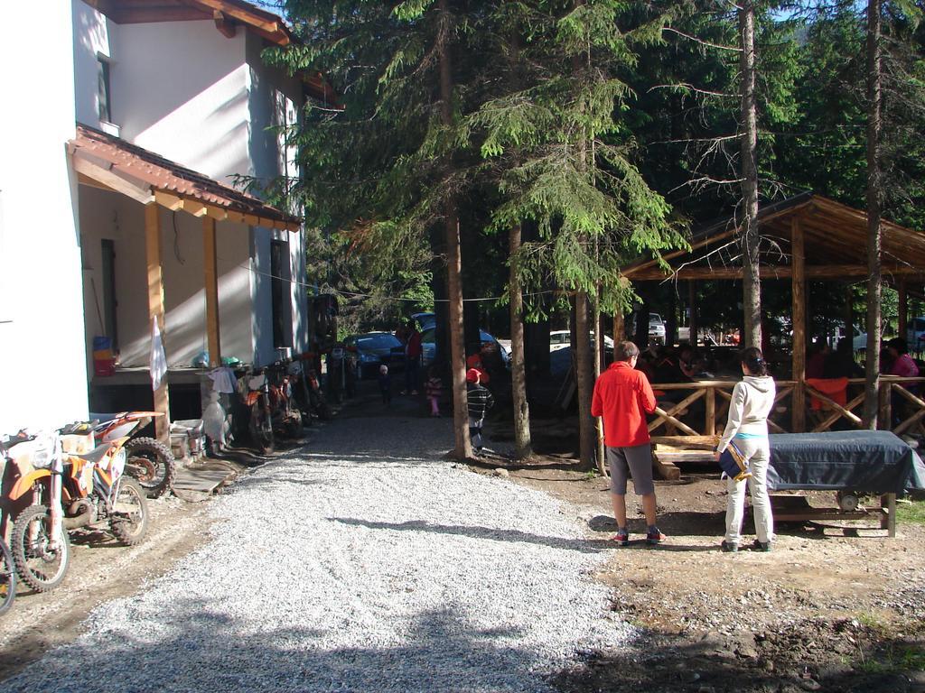 Complex Transalpina Lac فوينياسا المظهر الخارجي الصورة