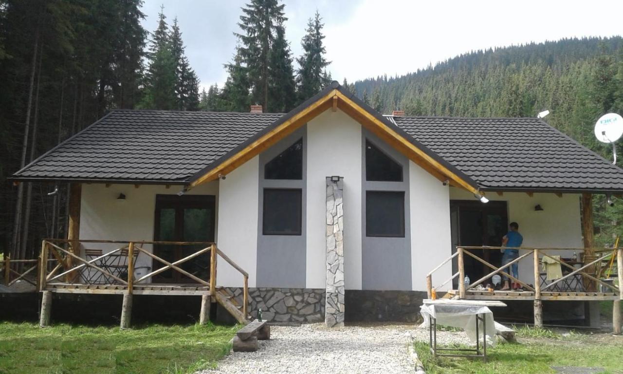 Complex Transalpina Lac فوينياسا المظهر الخارجي الصورة