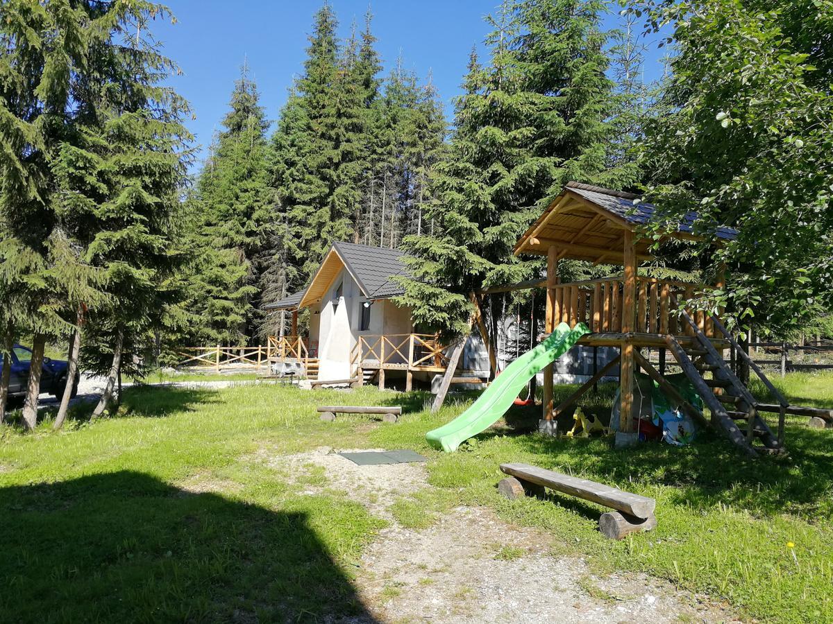 Complex Transalpina Lac فوينياسا المظهر الخارجي الصورة