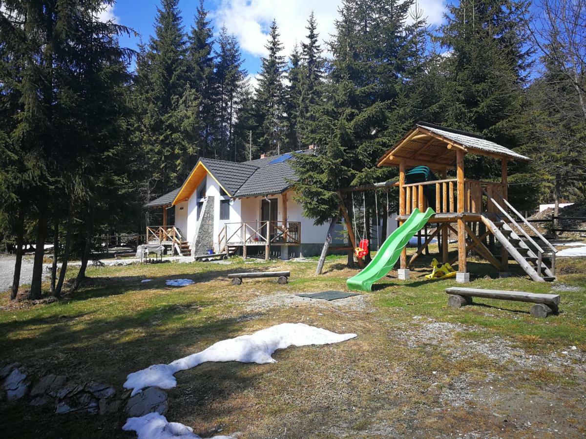 Complex Transalpina Lac فوينياسا المظهر الخارجي الصورة